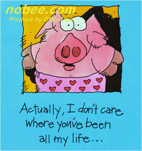 豚のメッセージカード